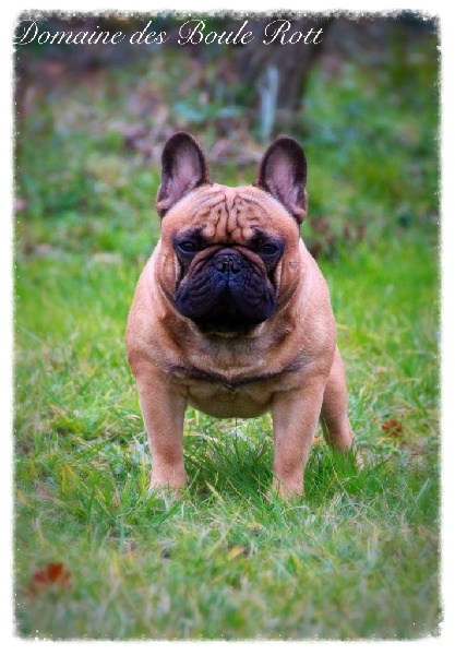 Gustin' ptit prout des p'tits bout boul