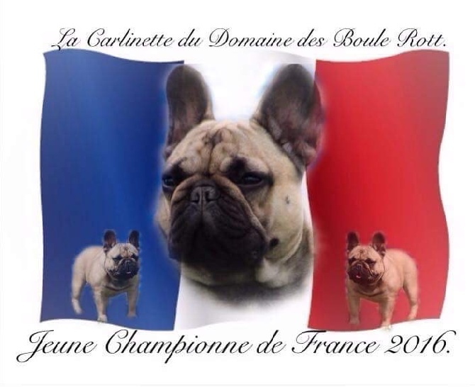 Notre Nenette est JCHAMPIONNE de FRANCE